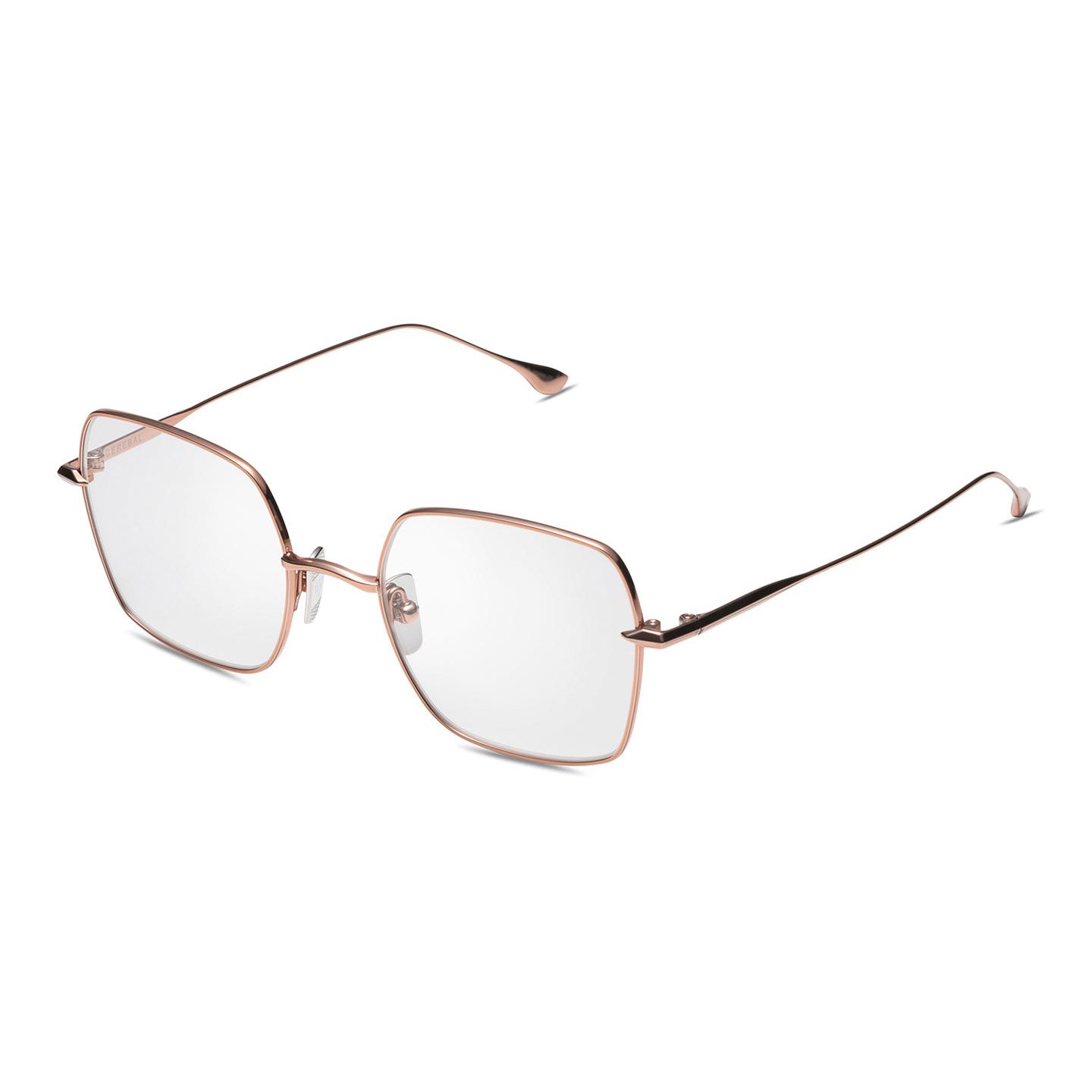 DITA CEREBAL, 50-02, frame view