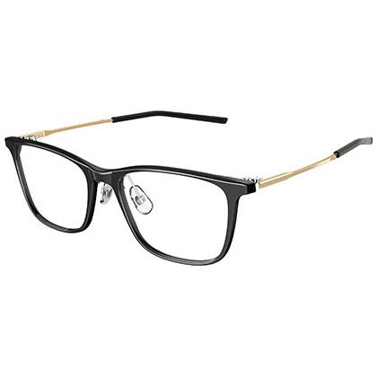 999.9 NPM-66, 9001, frame view